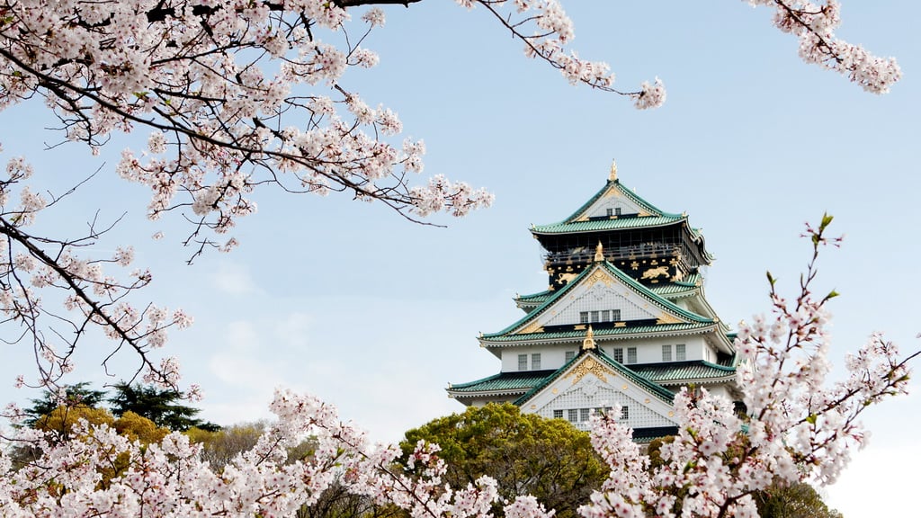 Lâu đài Osaka mùa hoa anh đào