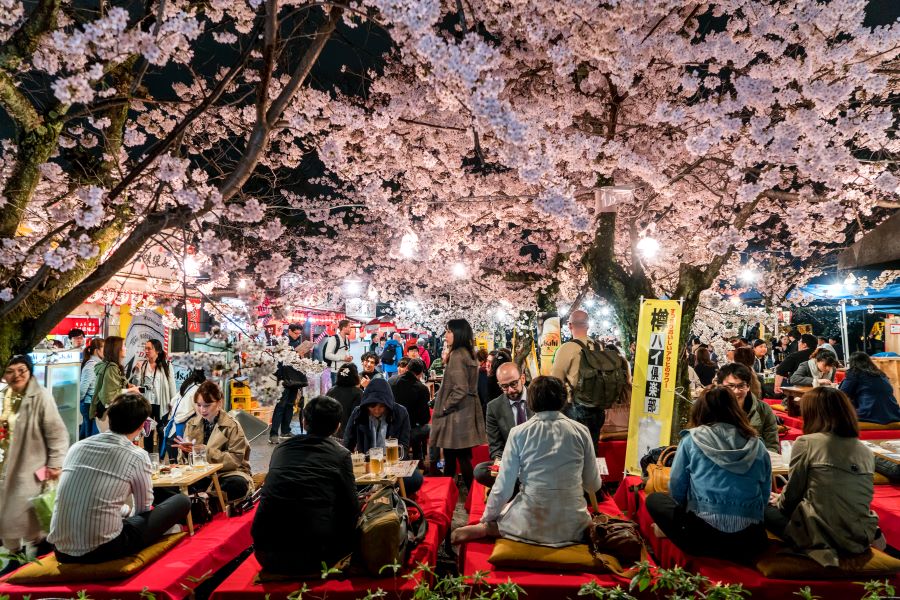 Lễ hội Hanami