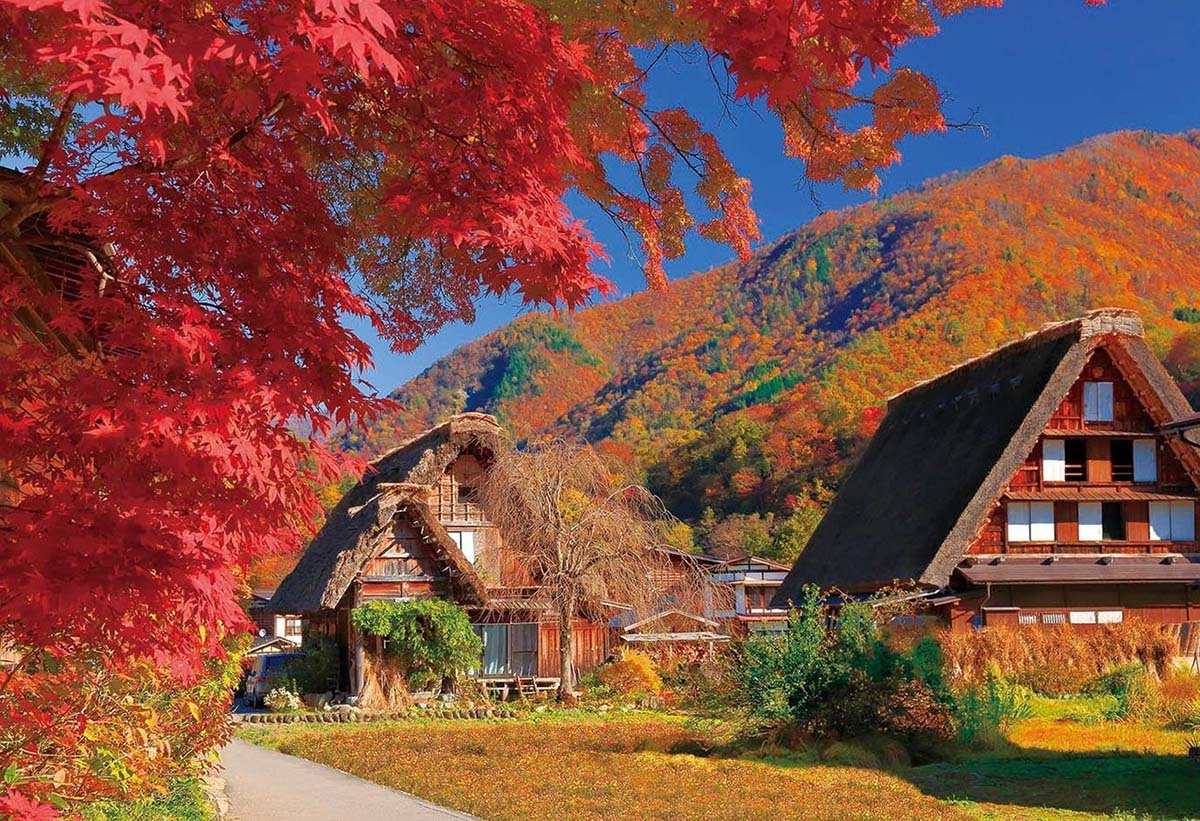 Làng cổ Shirakawa-go ngập tràn sắc thu vàng đỏ