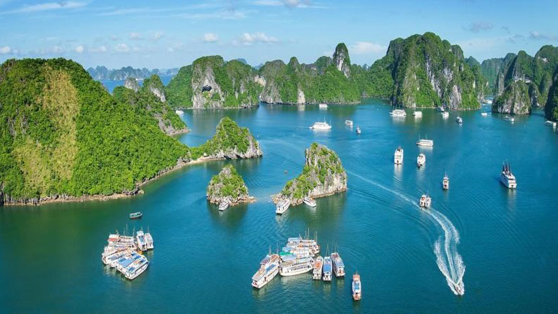 Tour Hạ Long - Điểm đến hấp dẫn cho bất kỳ ai thích “xê dịch”