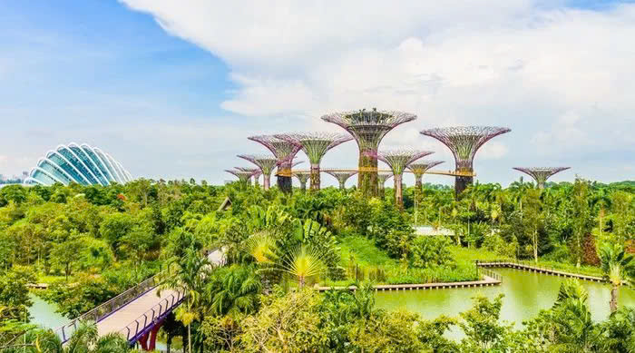 Toàn cảnh Garden by the Bay nhìn từ trên cao