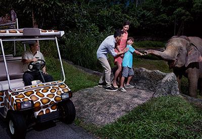 Free and Easy - Vé tham quan Night Safari Singapore giá tốt