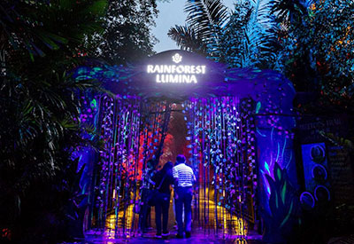 Free and Easy - Vé Rainforest Lumina tại vườn thú Singapore
