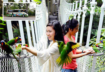 Free and Easy - Vé Tham Quan Vườn Chim Jurong có xe đưa đón 2 chiều