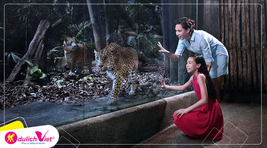 Free and Easy - Combo Night Safari + Singapore Zoo
