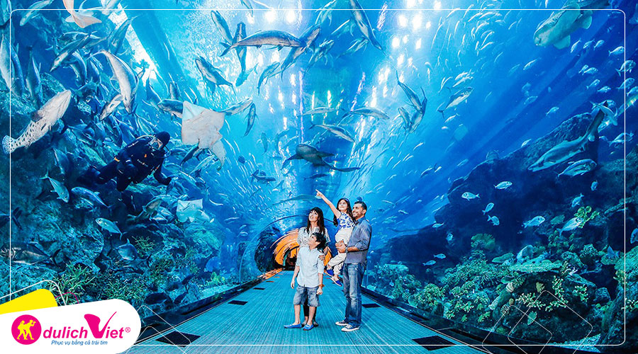 Free and Easy - Combo S.E.A Aquarium và Gardens by the Bay