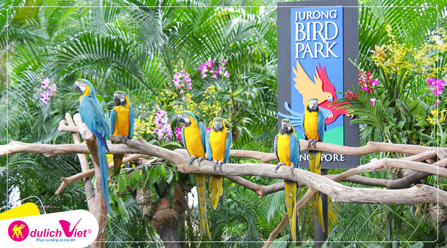 Free and Easy - Vé tham quan Vườn chim Jurong tại Singapore