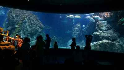 Vé tham quan Sea Life Bangkok Ocean World