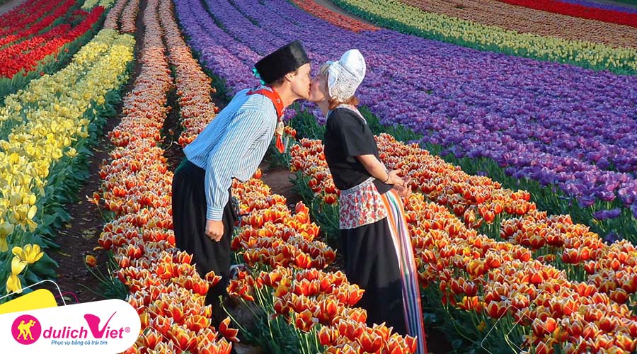 Du lịch Úc - Melbourne - Lễ hội hoa Tulip mùa Xuân khởi hành từ Sài Gòn giá tốt