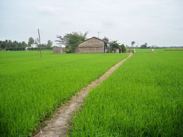 https://dulichviet.com.vn/images/bandidau/TIN%20TUC/Mi%E1%BA%BFu%20B%C3%A0%20Ch%C3%BAa%20X%E1%BB%A9.jpg