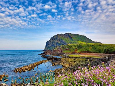 Đảo Jeju Hàn