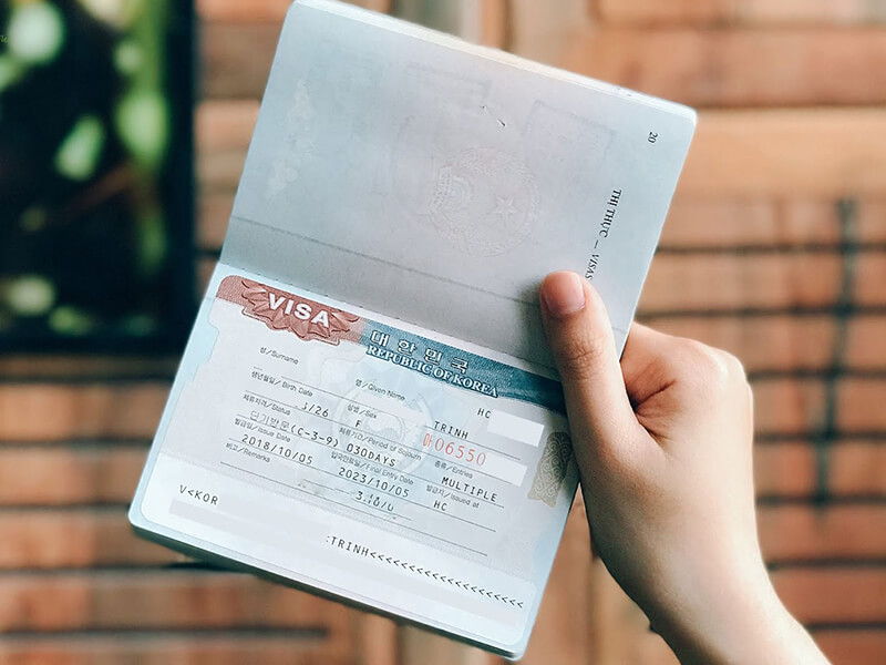 Visa H1