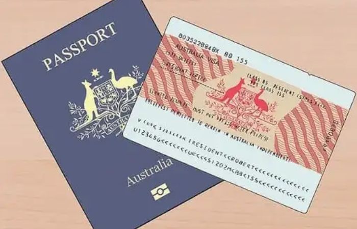 482