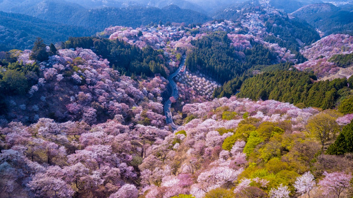 Khám phá 04 ngôi làng cổ tích xinh đẹp ở Nhật Bản