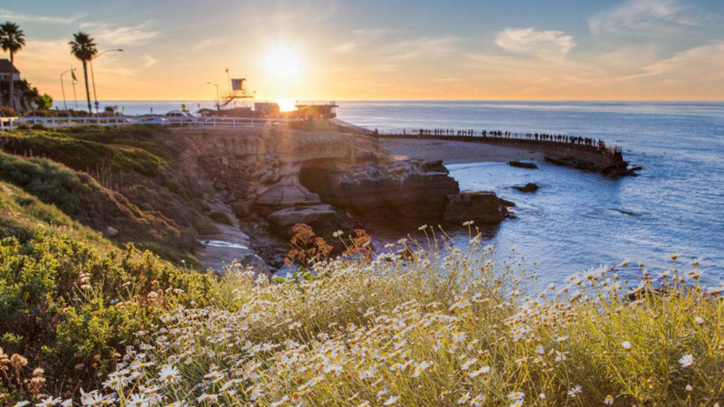 Kinh nghiệm du lịch San Diego khám phá Bãi biển La Jolla Cove