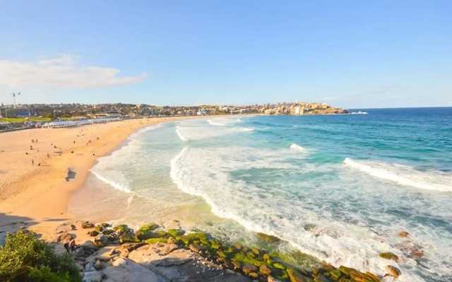 Bãi biển Bondi – thiên đường du lịch biển hấp dẫn tại Sydney, Úc