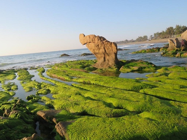 Bãi biển Cổ Thạch, nơi bạn thả mình vào thiên nhiên tuyệt đẹp