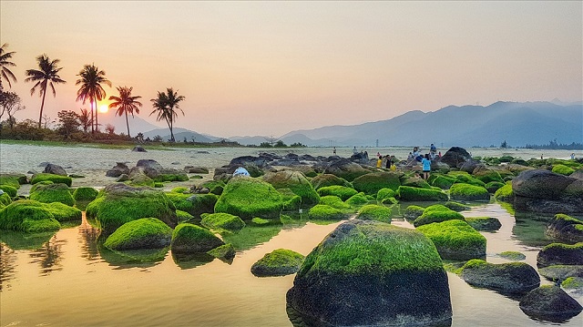 Top 7 bãi biển Đà Nẵng đẹp ngất ngây khiến bạn đắm chìm