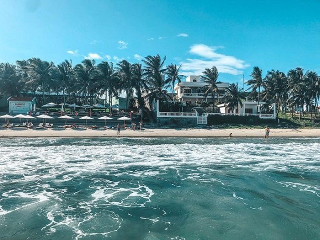 Bãi biển Paradise Vũng Tàu với bờ cát trắng và hàng cây xanh mát