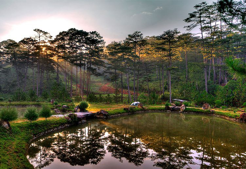 Vẻ đẹp vườn quốc gia Đà Lạt