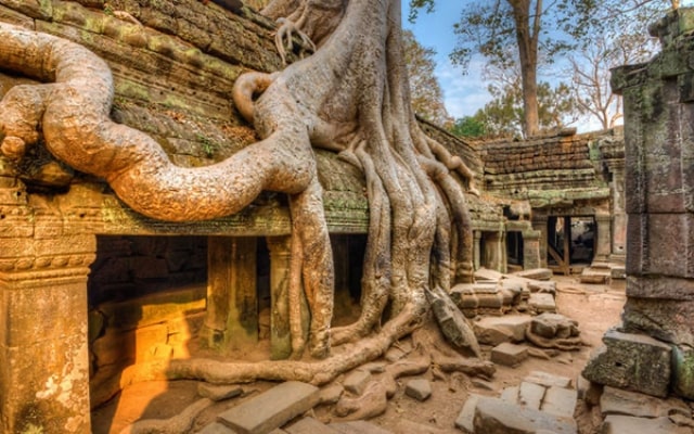 Khám phá đền Ta Prohm Campuchia, ngôi đền bí ẩn với những rễ cây kì dị