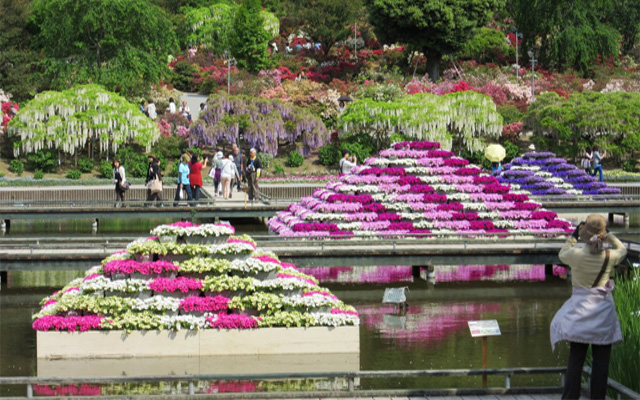 Công viên hoa Ashikaga Flower Park