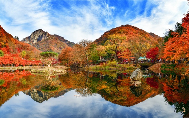 Tham khảo kinh nghiệm du lịch Hàn Quốc mùa thu cần thiết nhất