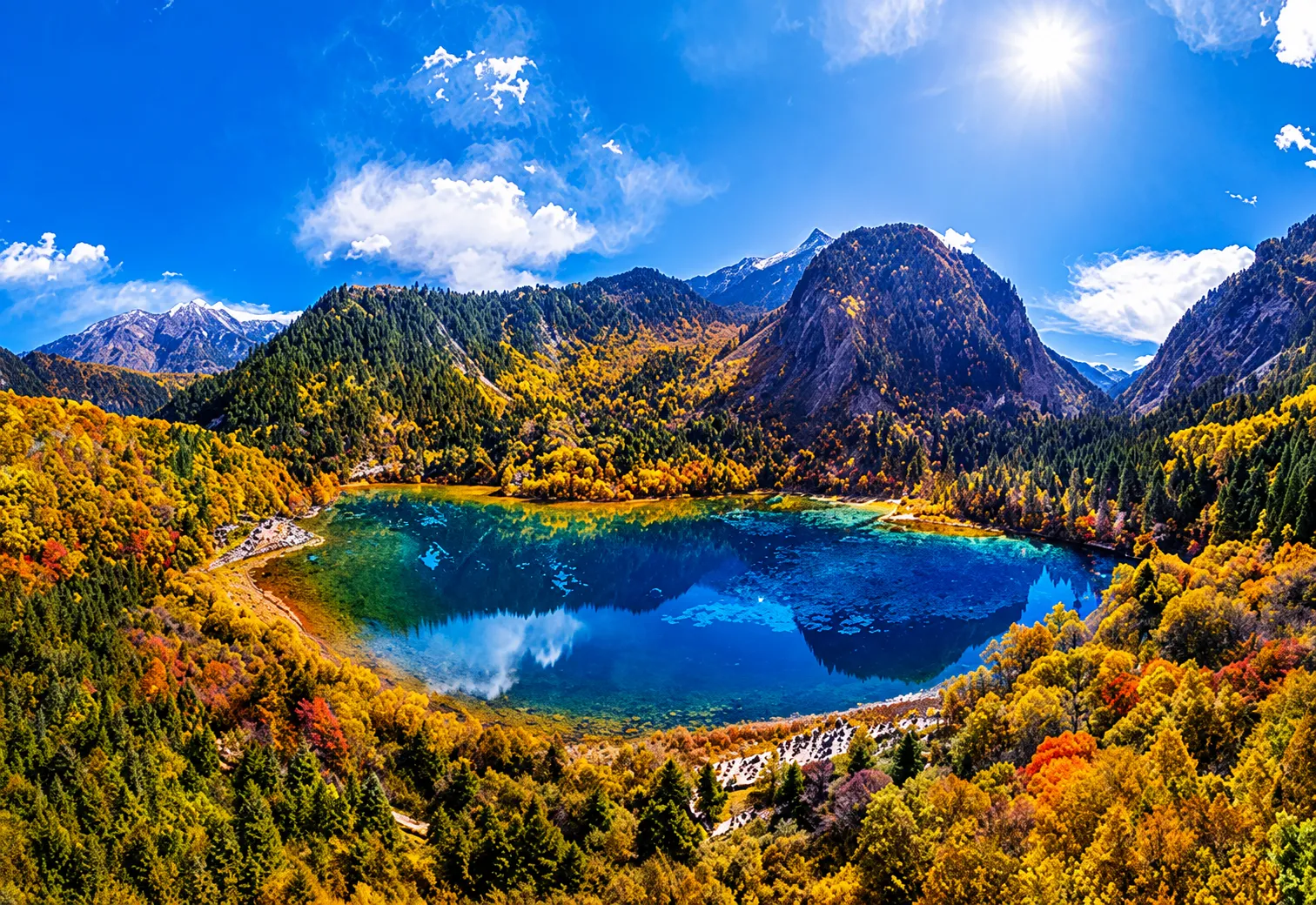 cuu-trai-cau