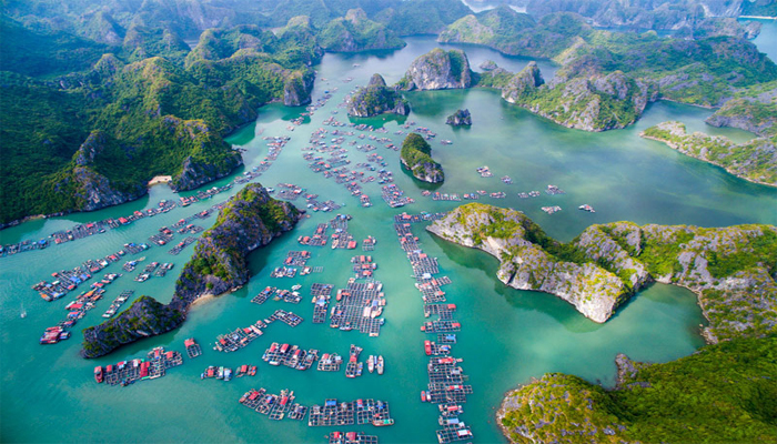 Du lịch nghỉ dưỡng: Khám phá những truyền thuyết ly kỳ về vịnh Hạ Long Dao-cat-ba-ha-long(1)