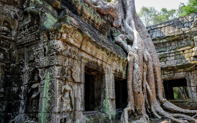 Khám phá đền Ta Prohm Campuchia, ngôi đền bí ẩn với những rễ cây kì dị