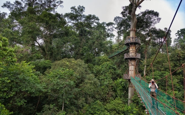 Lạc vào thung lũng Danum Malaysia, khám phá thiên nhiên hoang dã