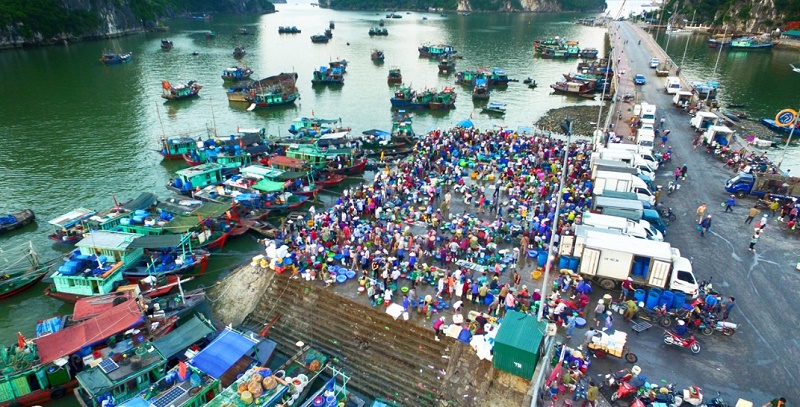 https://dulichviet.com.vn/images/bandidau/diem-mua-sam-sieu-chat-tai-ha-long-9.jpg