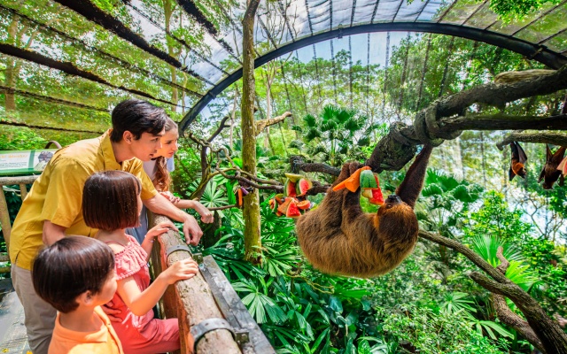 Trọn bộ kinh nghiệm tham quan Singapore Zoo khi du lịch Singapore