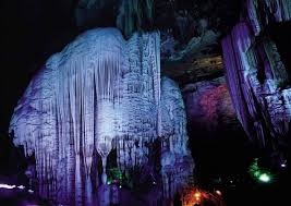 Động sáo đậy