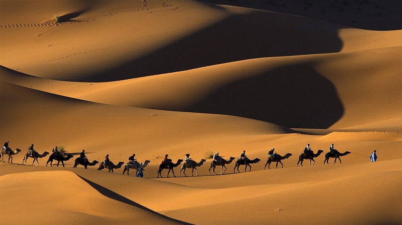 Du lịch Dubai - Yêu ngay nắng gió sa mạc Safari