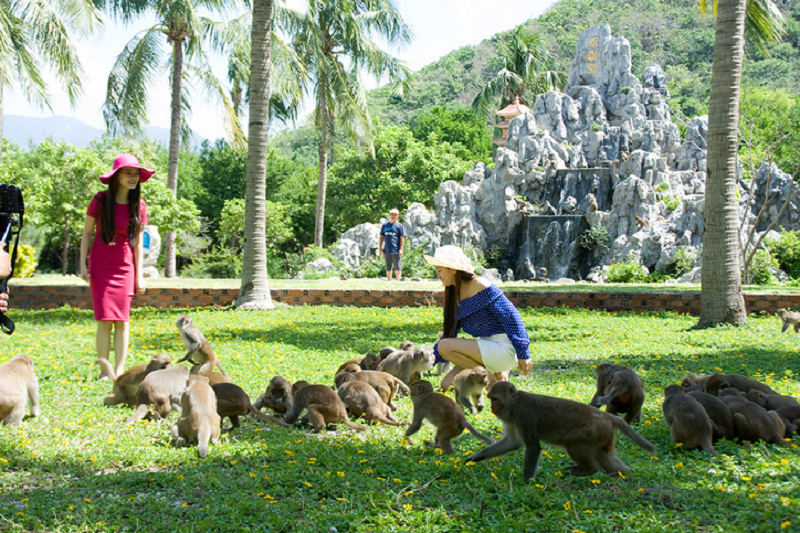 Kinh nghiệm du lịch Đảo Khỉ - Nha Trang - 2