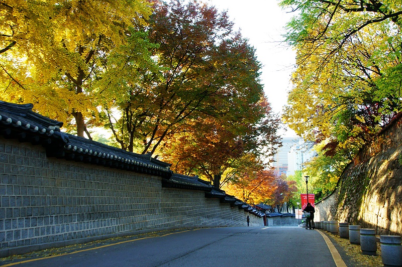 Deoksugung Doldam-gil – Con đường lãng mạn nhất Seoul