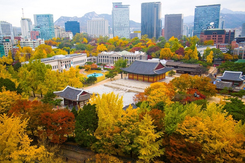 Con đường lãng mạn Seoul dẫn lối vào cung điện Deoksugung