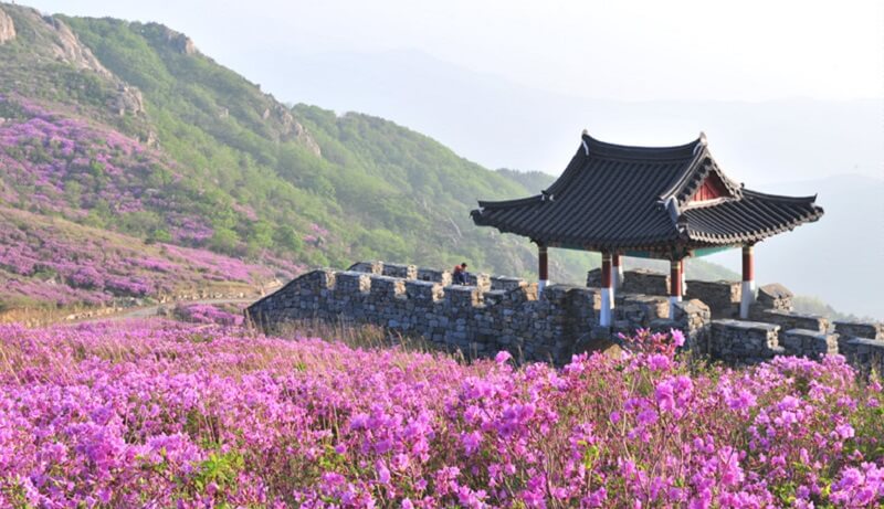 Du lịch Hàn quốc - Sancheong
