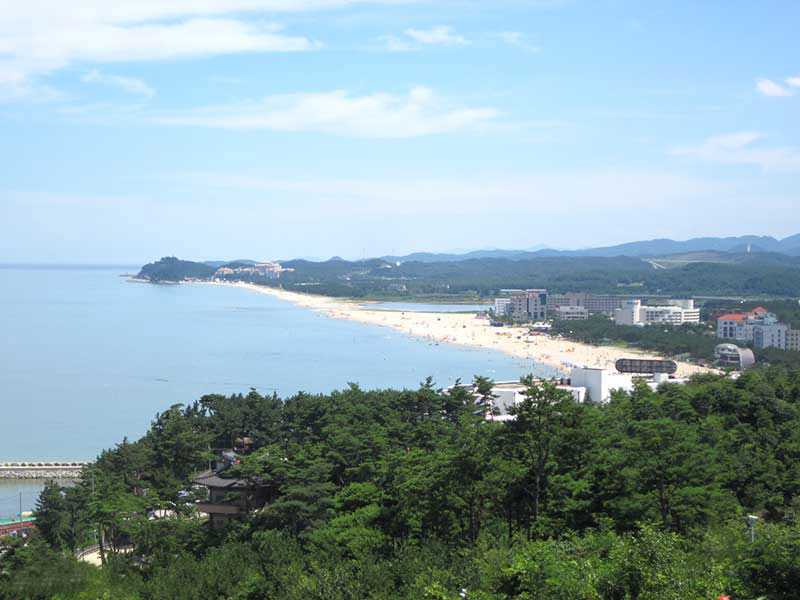 Bãi biển Sokcho Hàn Quốc nổi tiếng với vẻ đẹp kỳ lạ của những cánh rừng thông