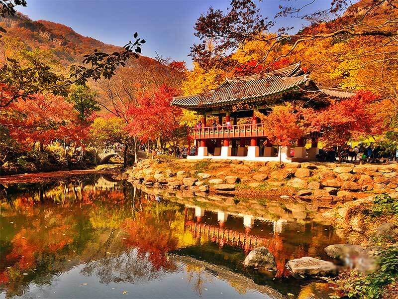 Naejangsan là một trong những điểm đến không thể bỏ qua khi du lịch Hàn Quốc mùa này