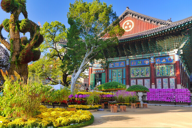 Du lịch Hàn Quốc - chùa Jogyesa