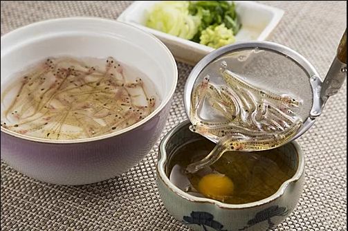 Cá Shirouo no Odorigui bày trí bắt mắt trên bàn ăn
