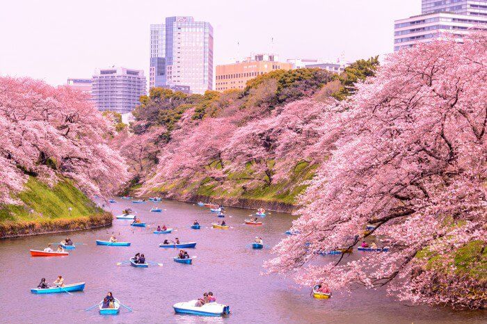 Du lịch Nhật Bản - Những nét đặc sắc trong lễ hội