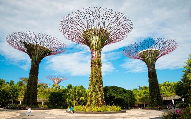 Siêu cây Gardens by the Bay thu hút hàng ngàn lượt khách du lịch Singapore