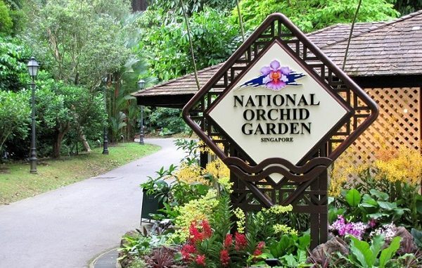 Vườn bách thú được xem là lá phổi xanh của Singapore