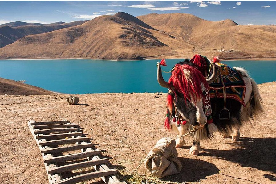 Du lịch Tây Tạng