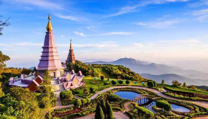 Bông hồng phương Bắc Chiang Mai