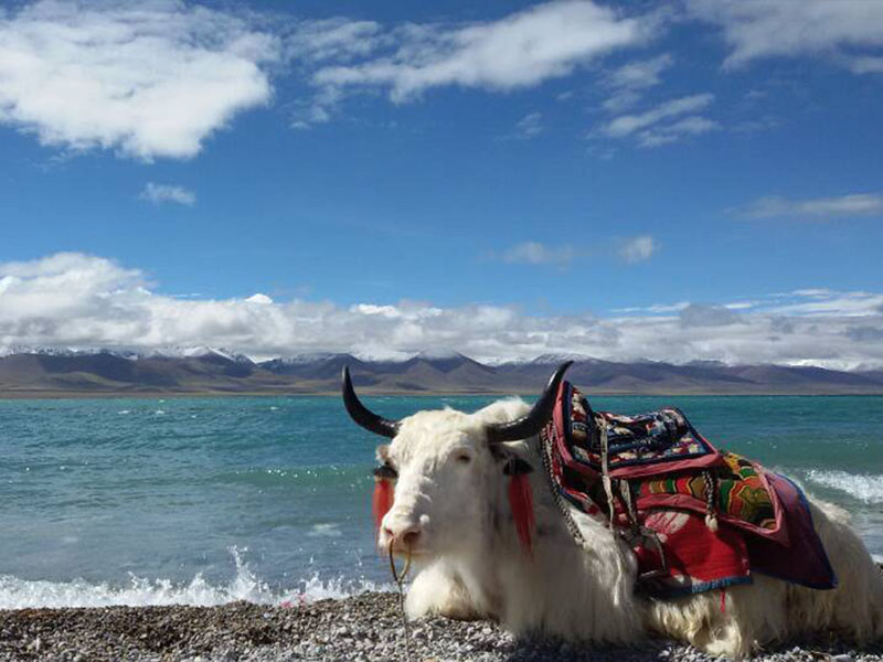 Du lịch Tây Tạng nên chụp ảnh ở đâu