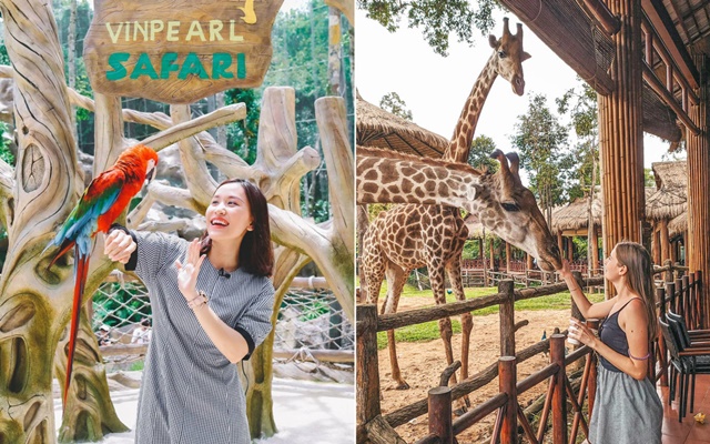 Mách bạn trọn bộ kinh nghiệm du lịch Vinpearl Safari Phú Quốc mới nhất